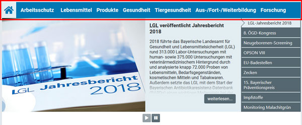 Sreenshot der blauen, horizontalen Hauptnavigationsleiste