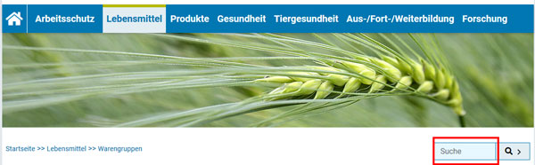 Sreenshot der blauen, horizontalen Hauptnavigationsleiste