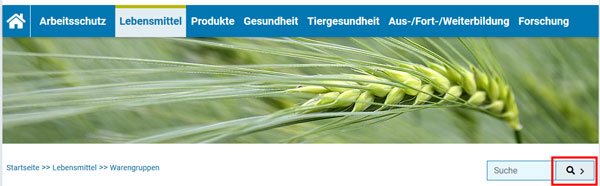 Sreenshot der blauen, horizontalen Hauptnavigationsleiste